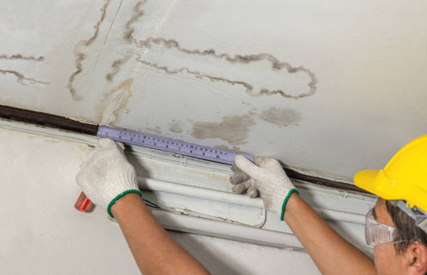 Reliable Water Damage contractor in Roosevelt, WA by Water Damage Irwin